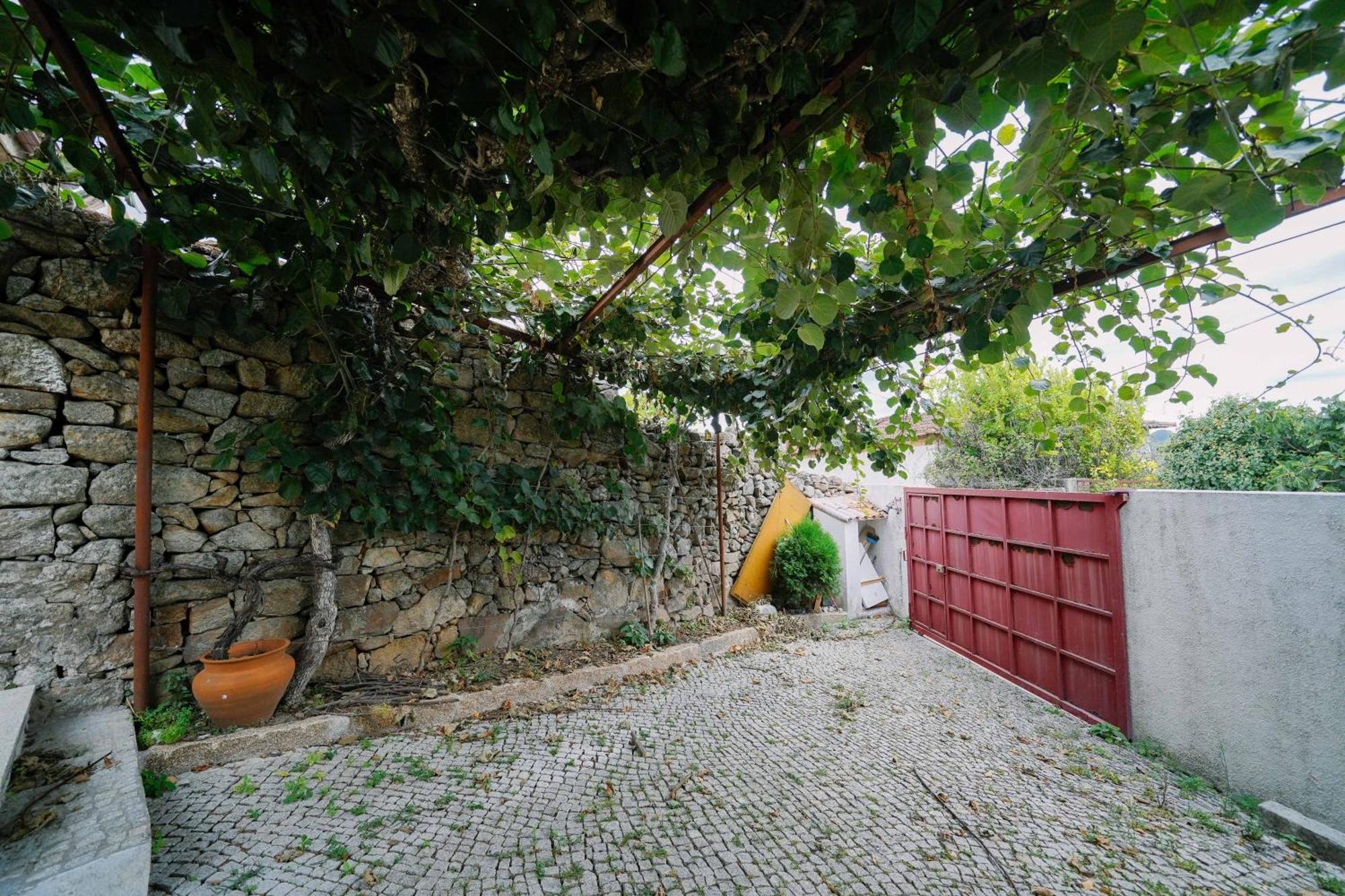 Martinho'S House Leilighet Alijó Eksteriør bilde